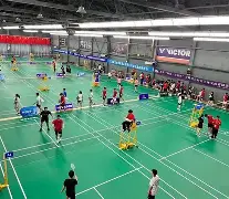 联赛巅峰对决！齐鲁火狐队失利剑门青龙队，羽毛球赛场再起波澜；全面提速抢占先机的简单介绍-爱游戏官方